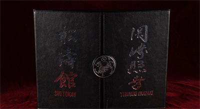 masterclass shotokan dvd set